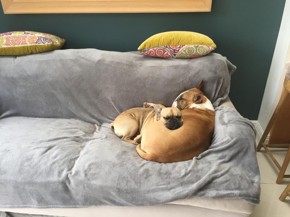 Mabel and Elvis