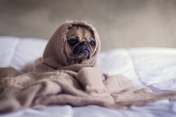 Eight awesome ways to get the joy back in your life in SIDCUP