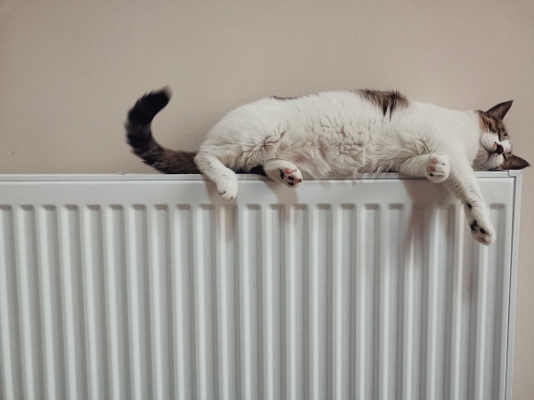 8 Ways Homeowners in Sidcup Can Reduce Their Heating Costs