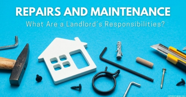 Repairs and Maintenance – What Are a Neath Landlord’s Responsibilities?