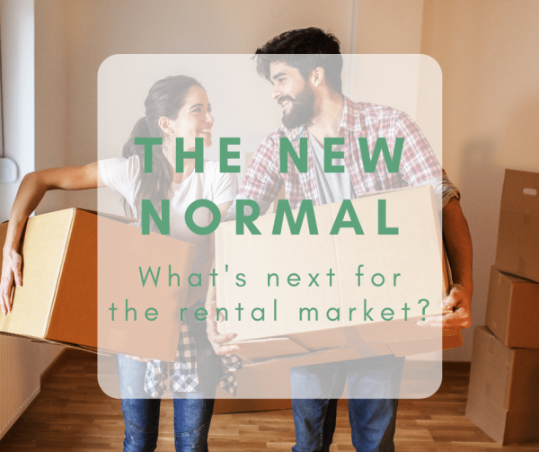 'The New Normal': What's next for the rental market?