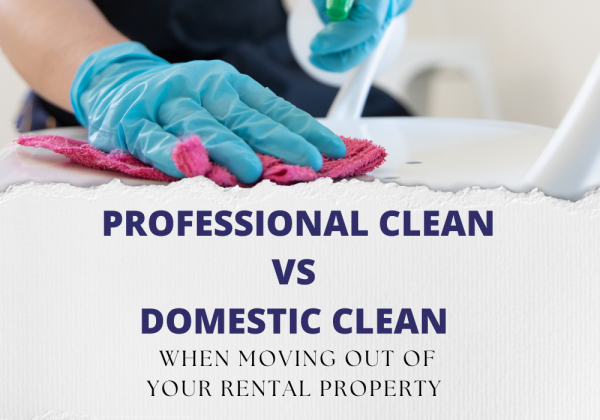 Professional clean vs domestic clean when moving out of your rental property