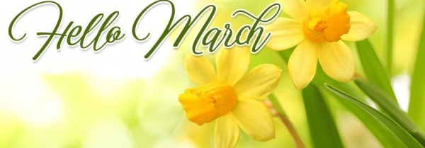 March 2020 - Market Comment