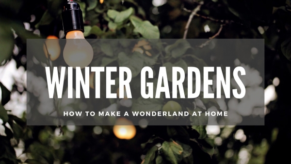 WINTER GARDENS: WOW YOUR BUYERS WITH A WONDERLAND