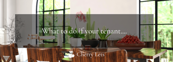 What to do if your tenant… 7 troubleshooting tips