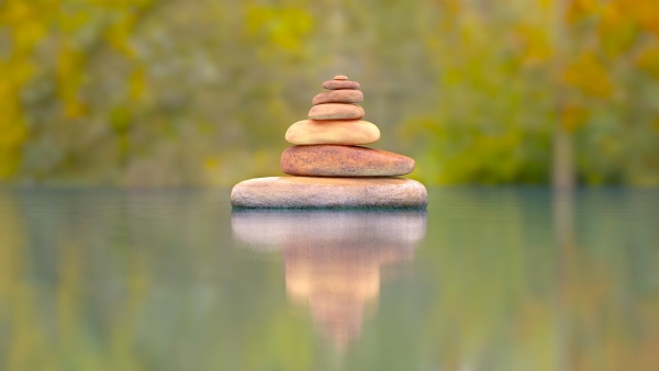 Stress-Busting Tips for Property Management in Sidcup