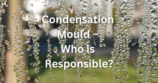 Condensation Mould – Who is Responsible?