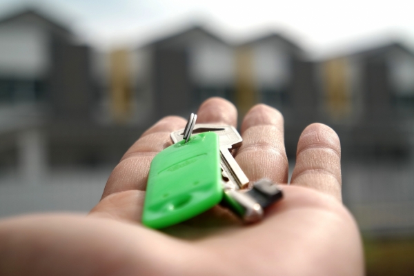 I currently live alone and am considering taking in a lodger - Ask the Experts