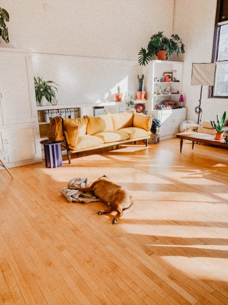 Homes Fit for A King or Queen – Just Add Comfort