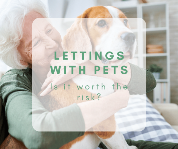 Lettings With Pets: is it worth the risk?