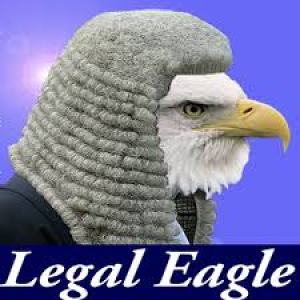 Choose a legal Eagle not a Turkey