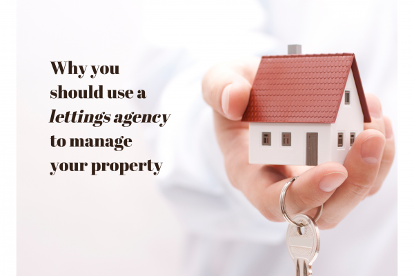 Why you should use a lettings agency to manage your Martock, Crewkerne, Stoke su
