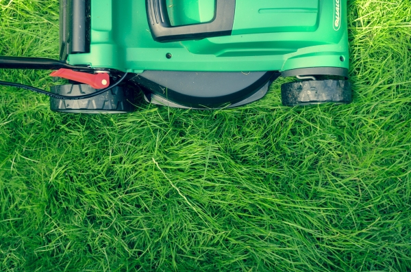 Easy Garden Makeover Tips to Add Value to Your Home