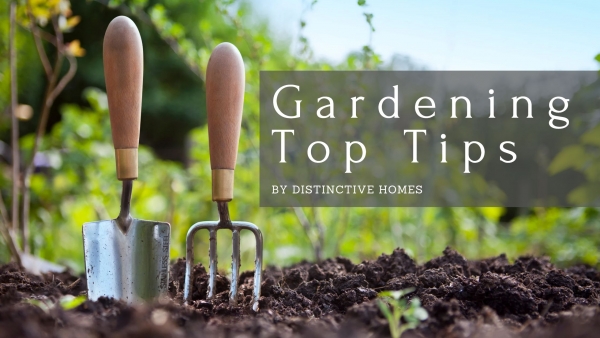 Garden Top Tips for Kent Gardens 2022.