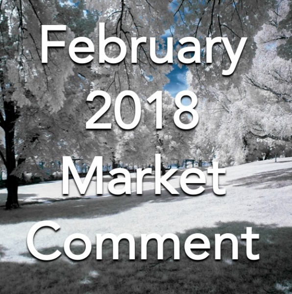 February 2018 Market Comment for South Somerset