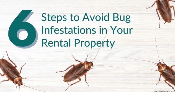 Six Steps to Avoid Bug Infestations in Your Rental Property