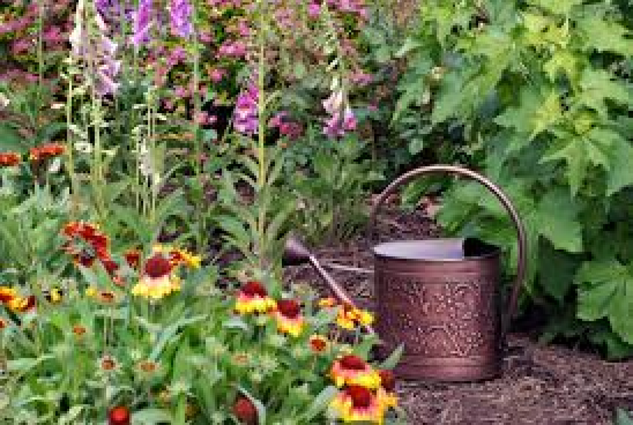 >The Great Outdoors has a B...