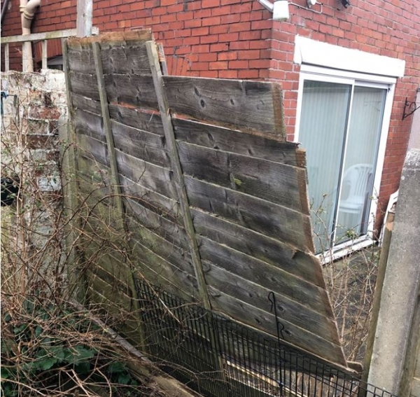 My fence has blown down, how do I find out who should fix it?