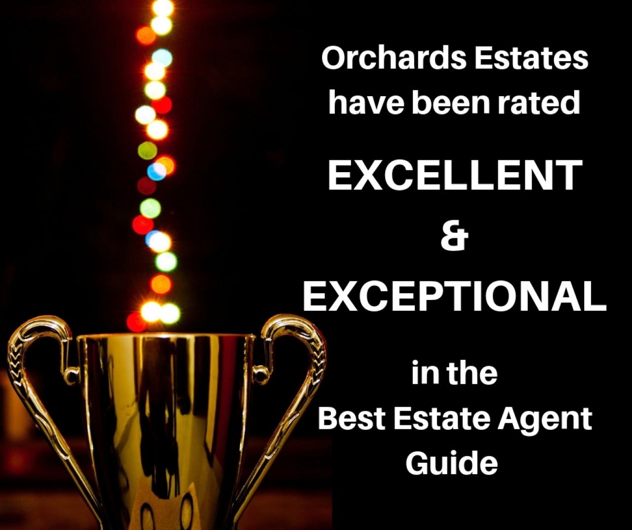 >Best Estate Agent Guide winners