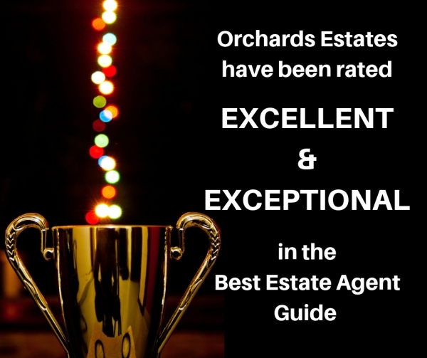 Best Estate Agent Guide winners
