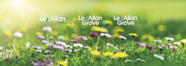Garden Trends from Chelsea Flower Show 2023