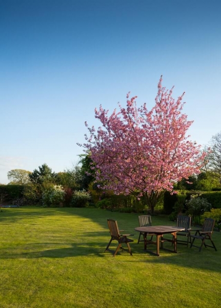 Easy garden makeover tips to add value to your St Neots home
