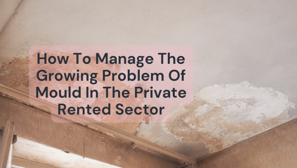 How To Manage The Growing Problem Of Mould In The Private Rented Sector