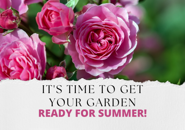 It's time to get your garden ready for summer!