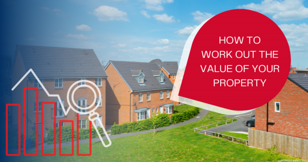 How Do Agents Value A Property?