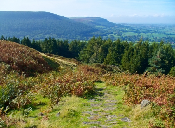 Top 5 beautiful North Yorkshire walks