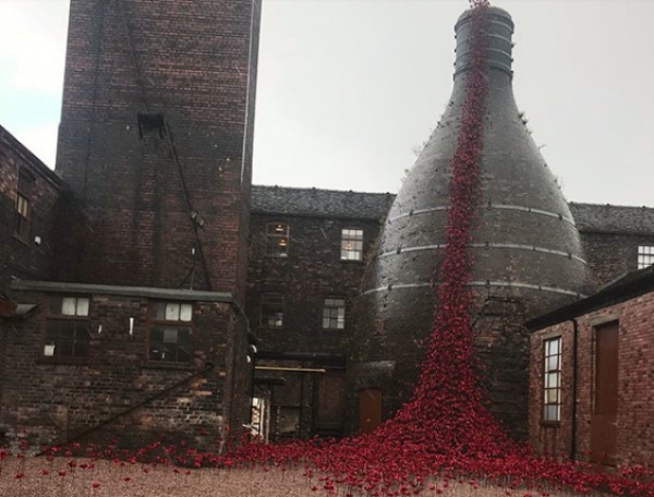 If You Haven’t Seen the Poppies at Middleport Pottery, You Must
