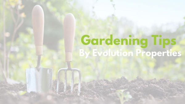 Garden Top Tips for Ashford Gardens 2022.