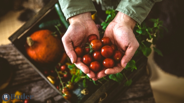 Organic September: What is it and how can you get involved?