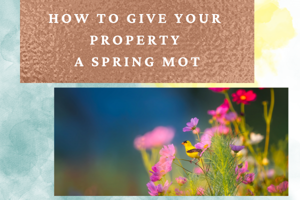 How to give your property a Spring MOT