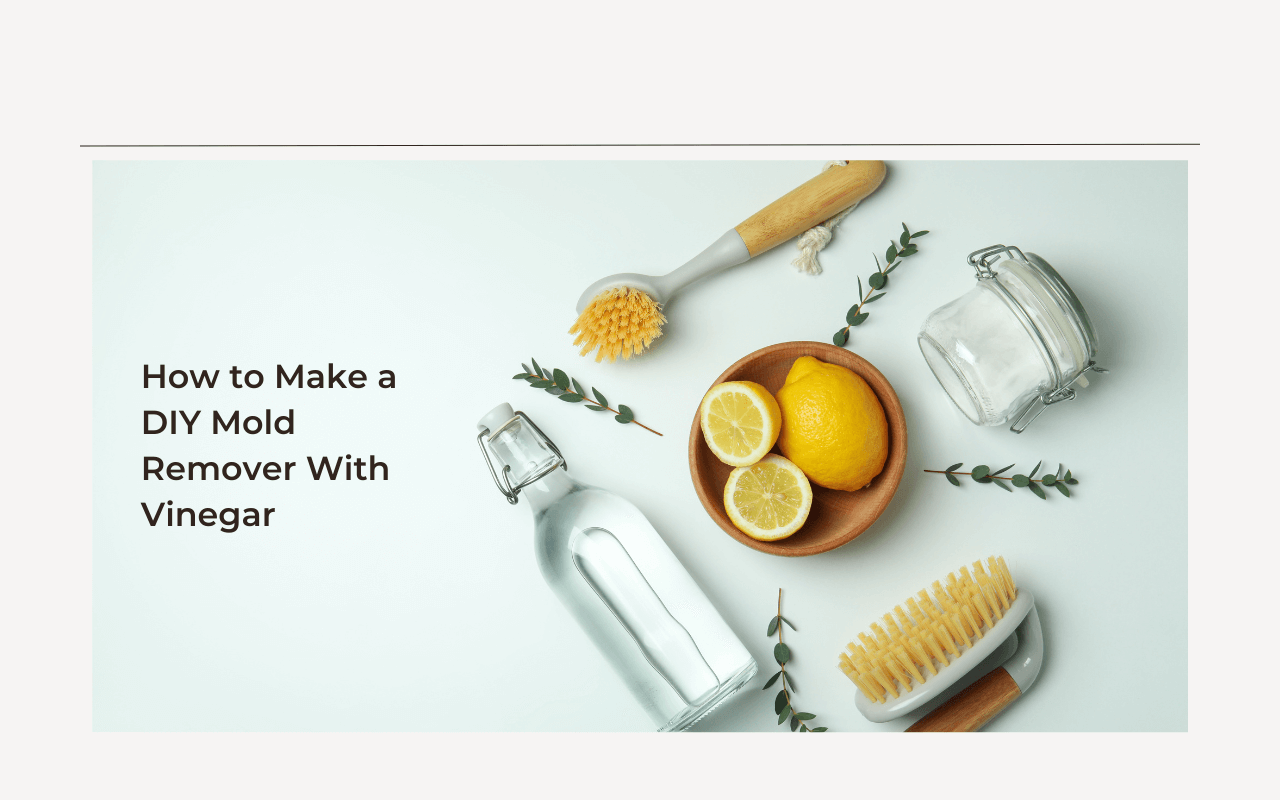How to Make a DIY Mold Remover With Vinegar