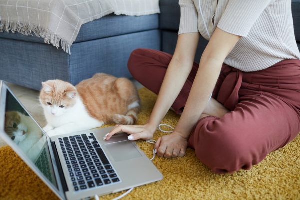 Working From Home...
