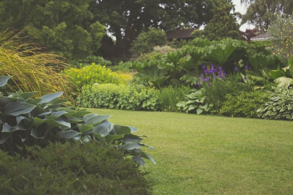 14 First-time Buyer Tips