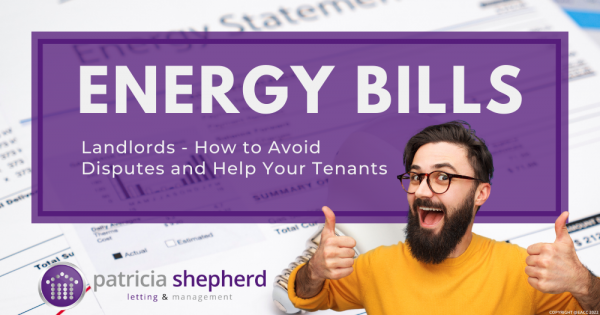 Energy Bills: Landlord’s - How to Avoid Disputes and Help Your Sutton Tenants