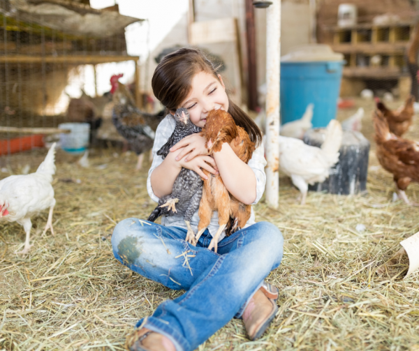 8 Things to do with the kids this summer
