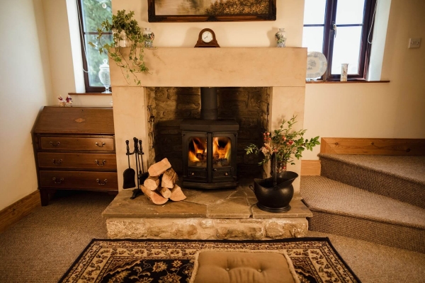 Winter viewing? How to make yours a success