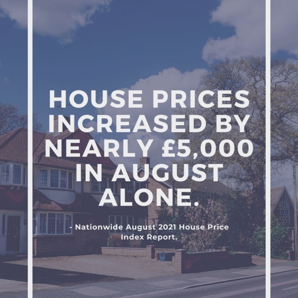 Property market update!