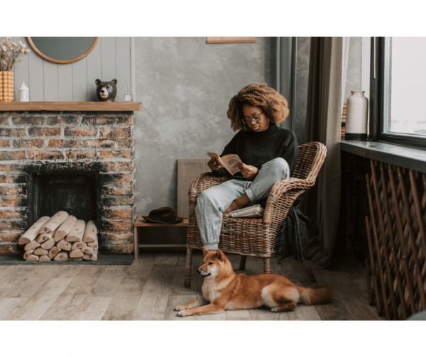 Renters' Rights 2026 - Pets in Rental Properties