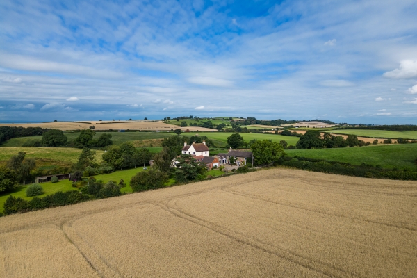 Wishart Estate Agents: Our clients journey in their words, read their full story