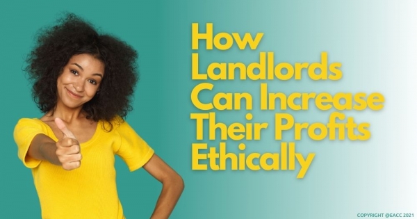 How Neath Landlords Can Make Their Rental More Profitable