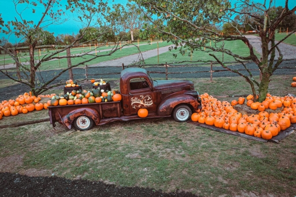 Best Halloween Days out local to Sutton Surrey
