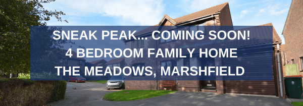 Sneak Peak - The Meadows, Marshfield