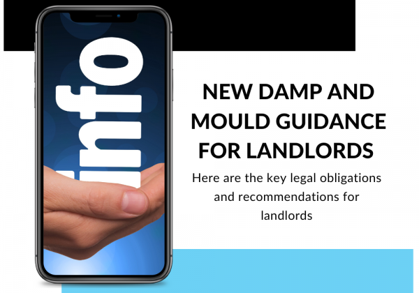 New Damp and Mould Guidance for Landlords