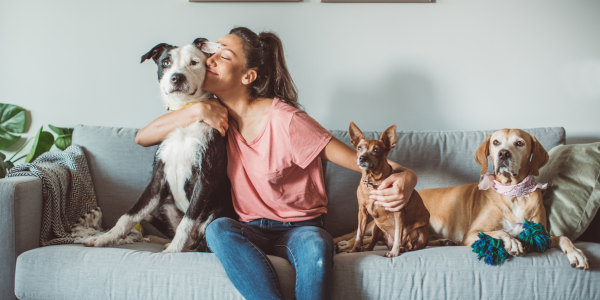 Renting with Pets. Are you ‘Pet Friendly?’