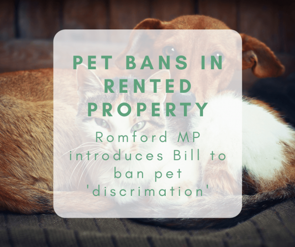 Pet Bans in Rented Property: Romford MP's Bill to ban pet 'discrimination'