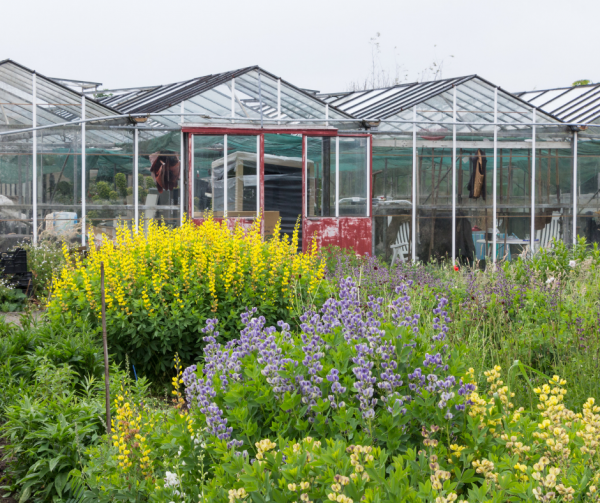 Our Love for Garden Centres